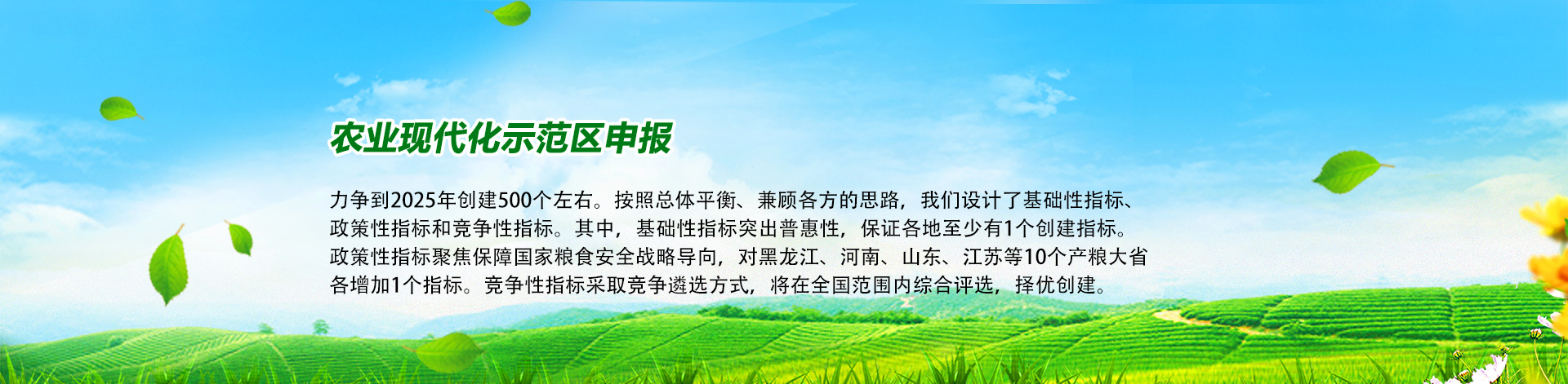 创新性城市