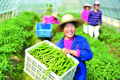 “十三五”扶贫开发相关规划编制启动