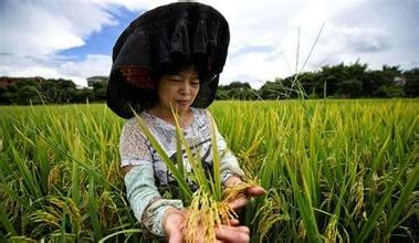 中央密切关注精准扶贫 易地搬迁进入十三五规划
