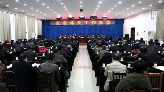陕西今年将建三个森林城市群 森林覆盖率要达45%