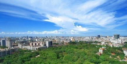 2020年广东建成首个国家森林城市群