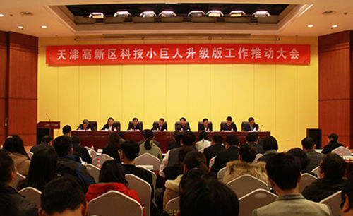 天津滨海高新区(核心区)科技小巨人升级版五年行动方案