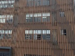 定了！广州南站产业规划发布！港澳、广佛两大政策热点成关键词