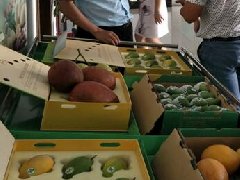 森林生态康养旅游产业规划