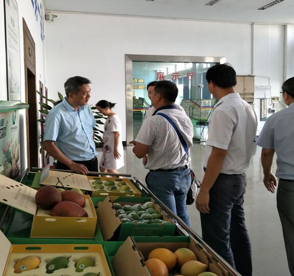 我院助力百色市创建国家级高新区