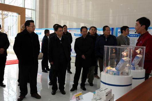 我院院长李文辉赴重庆荣昌指导创建国家高新区工作