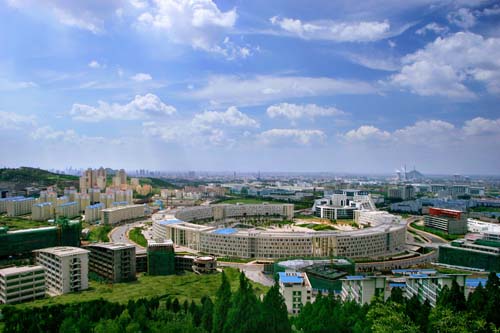 绵阳市构建“四个一”产业链招商机制 推动新型显示产业集聚集群发展