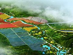 广东和平：加快推进省级产业园建设，推动和平腐竹规模化发展