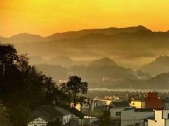 雅安市藏茶产业现代农业园区以社会化服务促园区焕发新活力