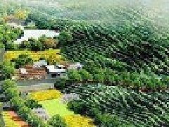 打造“零碳园区”？生态环境部公布第一批试点产业园区名单