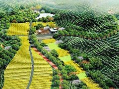 宁陕：重点项目助推园区高质量发展