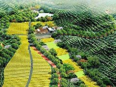 淄川区：山东淄博农业科技园区晋升“国家队”
