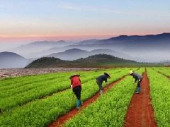 长沙经开区园区总部型示范楼宇拔节生长