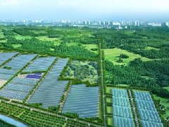 外企总部纷纷落户 北京经开区“两区”建设提速