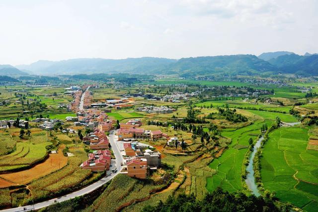 万亩芸养饲草产业示范基地南江黄羊饲草产研项目开工