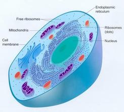 曹虹剑：发展中国战略性新兴产业