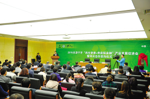 “京津冀子牙循环经济产业集群发展联盟”成立