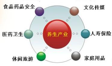 我国智慧健康养老产业运营模式探究