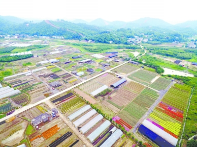 以“一带一部”新战略提升湖南发展新优势