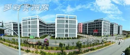 铜仁高新区：强化发展质态 引领企业科技创新