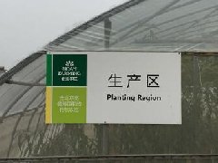 我院副院长赴平谷考察平谷农业科技区建设情况