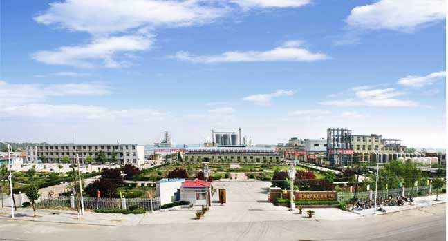 郸城高新区:走在创新发展的道路上
