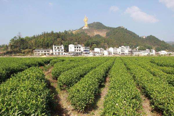 湖南宁乡国家级农业科技园区打造湘菜产业“技术硅谷”
