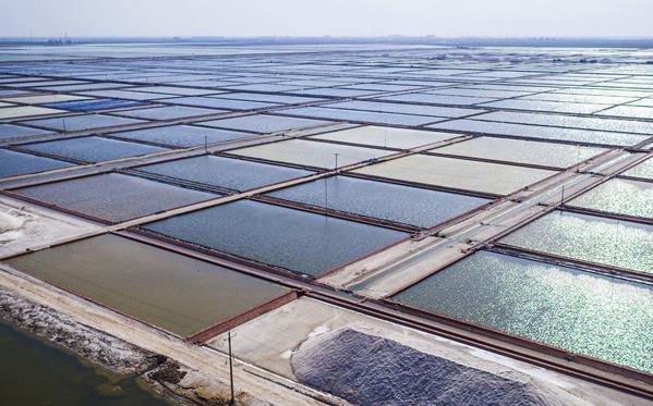 向海图强 北海经济开发区挖掘经略海洋＂蓝色宝藏＂
