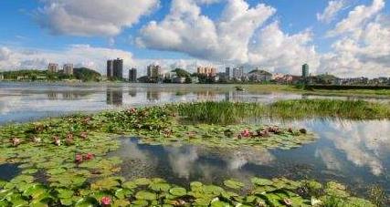 安顺经开区：政策推动 产业带动 乡村旅游旺起来