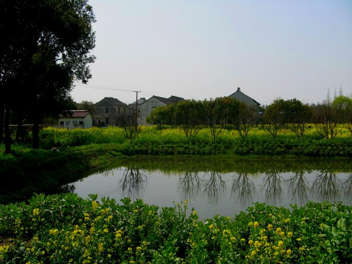 上海乡村振兴，建设美丽绿色幸福“三园”
