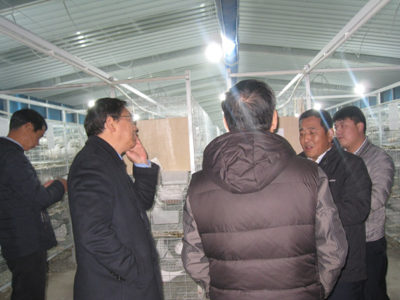 太行山革命老区,阜平县乡村振兴正当时