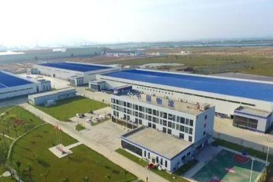 阳江高新区：打造高质量发展的强大引擎