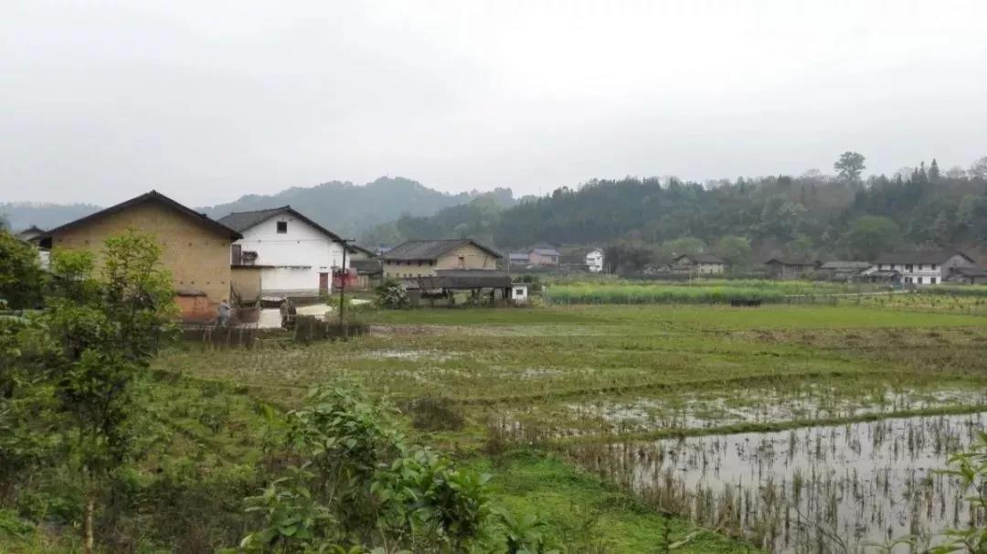 农村土地确权结束,没登记的四荒地如何处理?