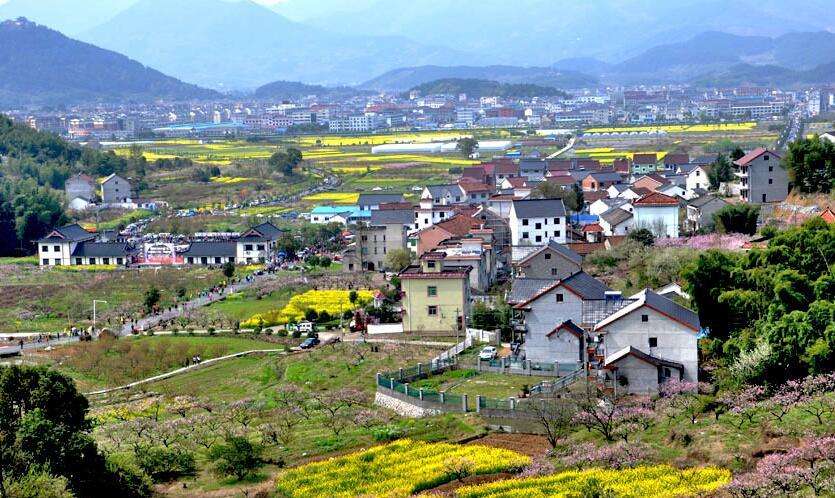 陈文胜：乡村振兴的资本、土地与制度逻辑