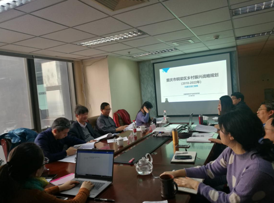 问诊专家,绘制龙乡铜梁乡村振兴新蓝图