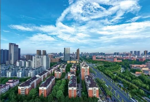 嘉兴经开区大力推进“绿城花海”建设
