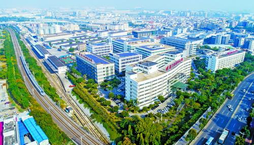 厦门火炬高新区：人工智能从“多枝繁茂”到“规模化齐放”