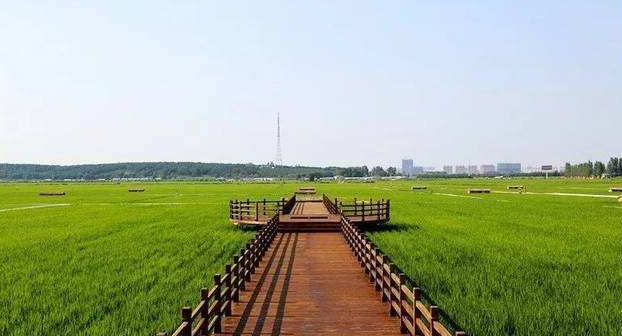 黑龙江省五常市现代农业产业园