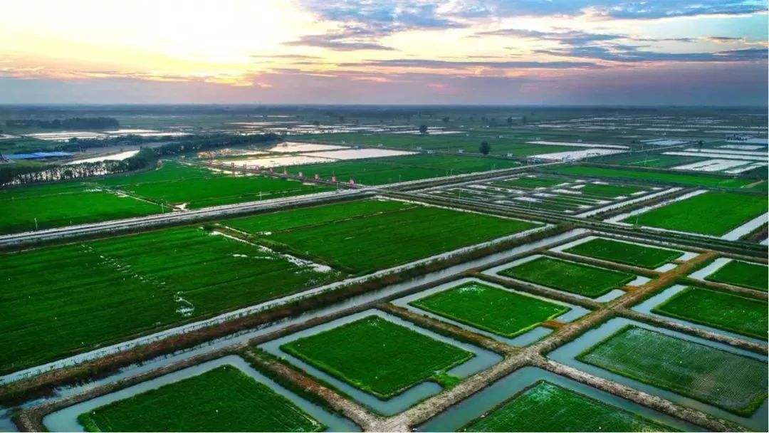 湖北省潜江市现代农业产业园
