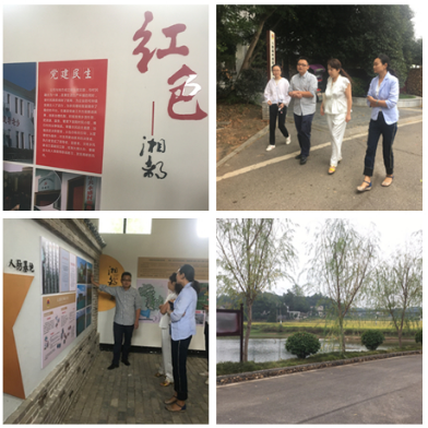 我院助力大成桥镇争创全国乡村治理示范镇