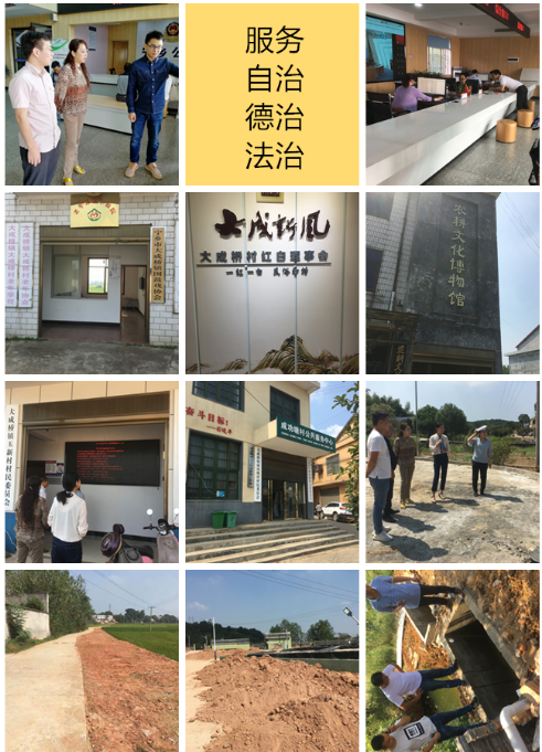 我院助力大成桥镇争创全国乡村治理示范镇