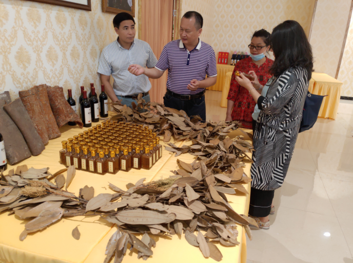 龚州大地,龙眼飘香-平南现代农业正释放科技创新活力