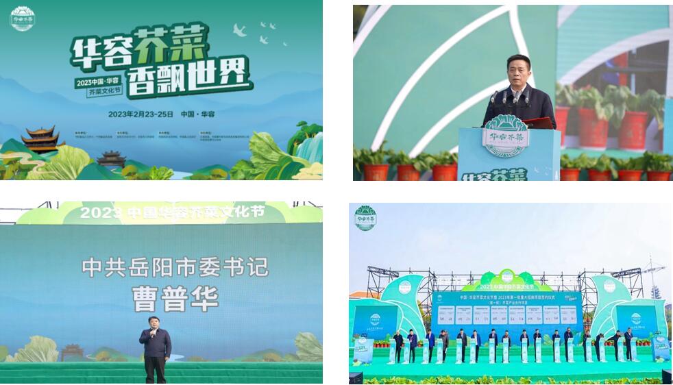 华容芥菜香飘四海,创建国家现代农业产业园恰逢其时