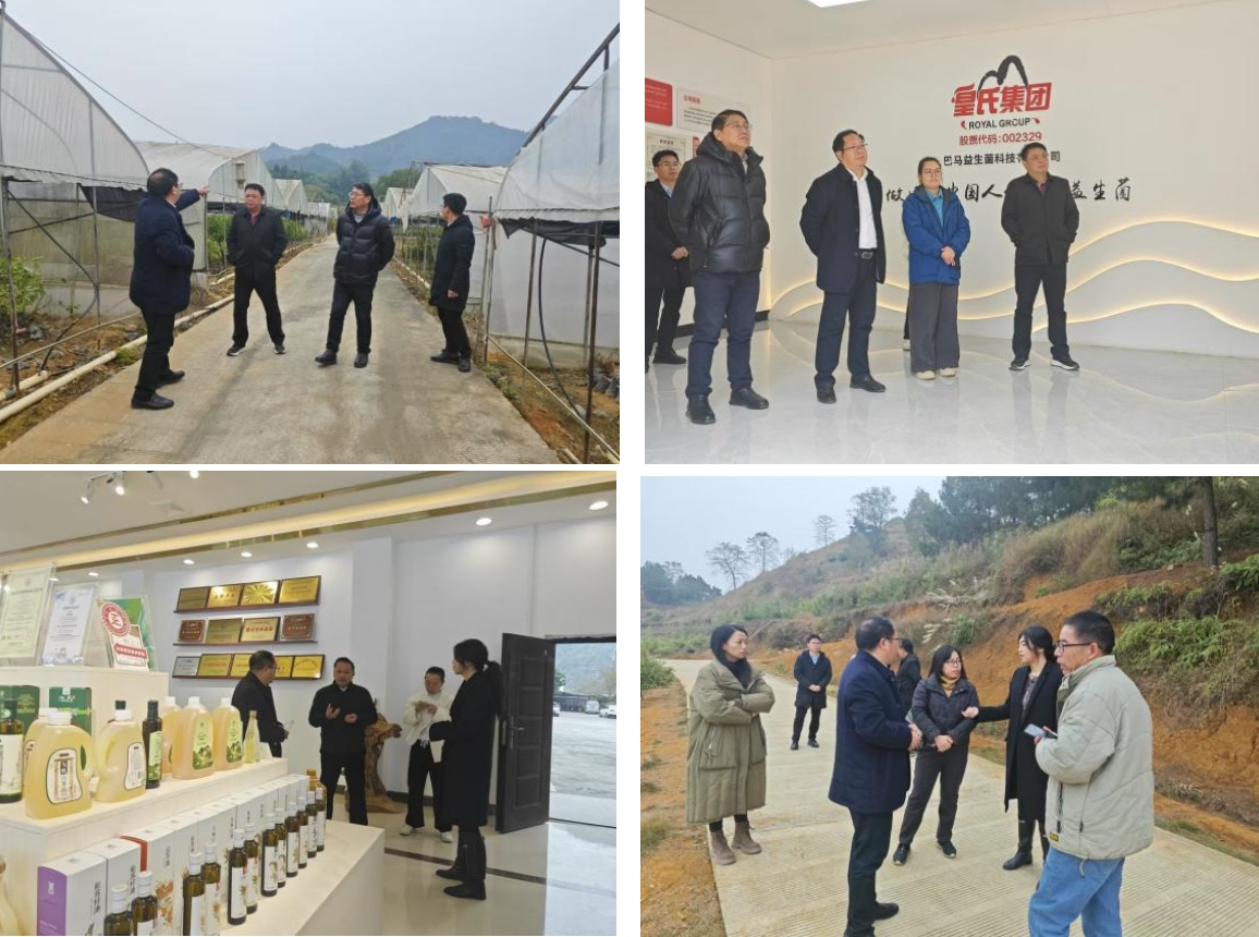 长寿之乡，逐路之行——高新院专家组一行赴广西巴马瑶族自治县开展河池农高区创建调研