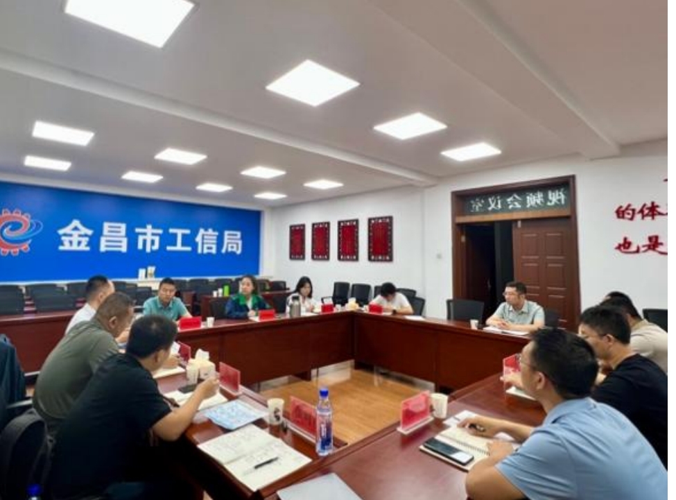 谋深谋实“十五五”规划“三个重大”，我院邀行业专家参与座谈——金昌市工