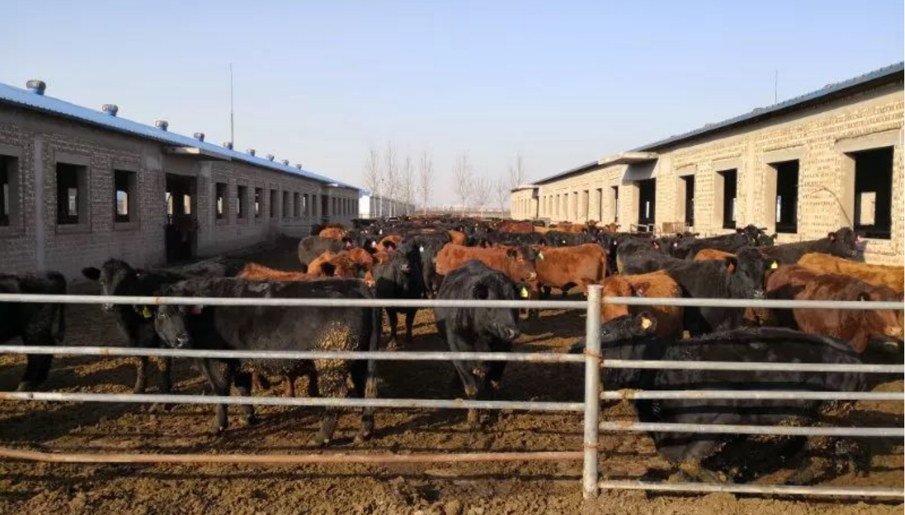 高新院赋能祁县：双轮驱动铸就现代农业产业园标杆