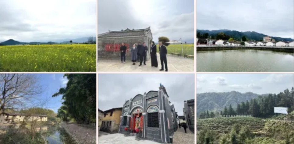 踏遍青山人未老 乡村蝶变正当时——高新院携手汝城擘画“五好两宜”和美乡村新画卷