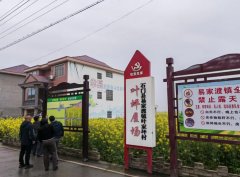 中国高新院妙笔绘蓝图 易家渡镇擘画乡村振兴新画卷