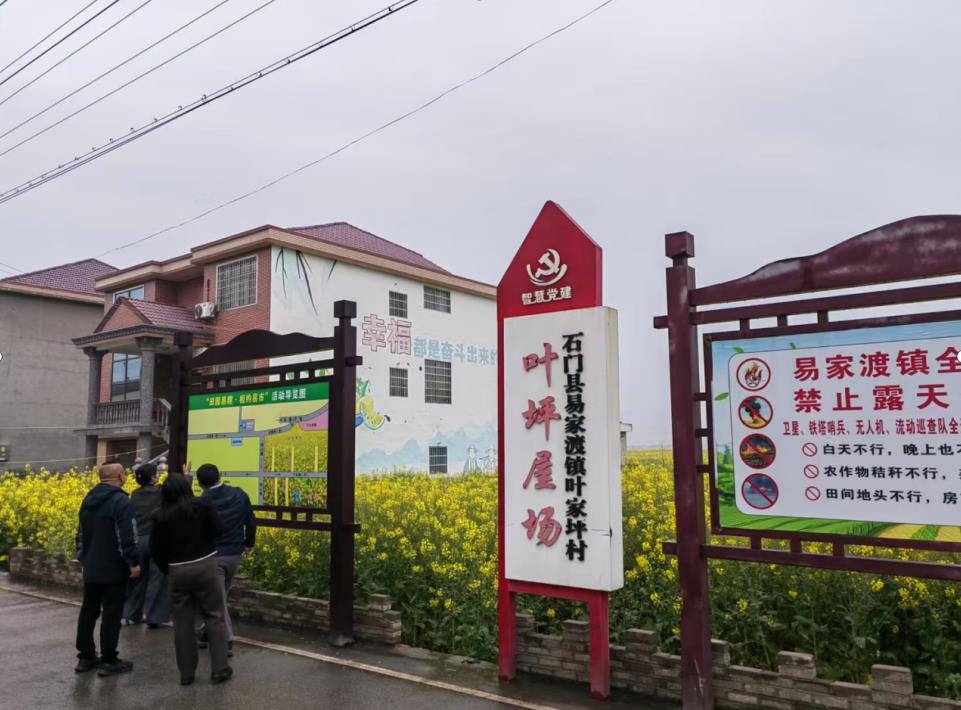 中国高新院妙笔绘蓝图 易家渡镇擘画乡村振兴新画卷